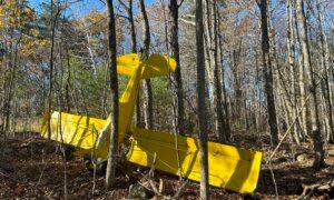 Pilot Suffers Minor Injuries in Small Plane Crash in Southern Maine